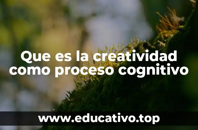 Que es la creatividad como proceso cognitivo