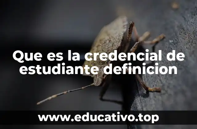 Que es la credencial de estudiante definicion