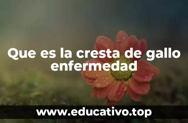 Causas y factores que contribuyen a la formación de la cresta de gallo enfermedad