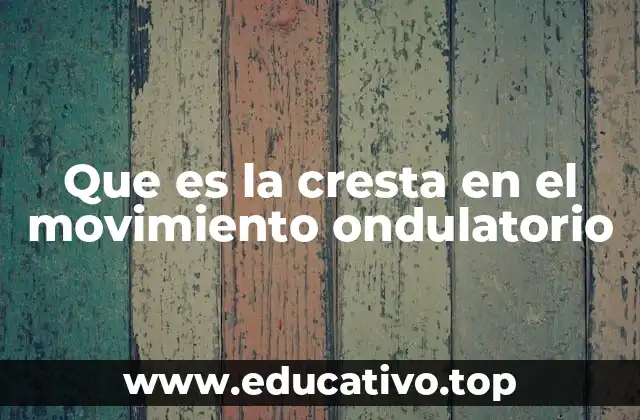 Que es la cresta en el movimiento ondulatorio