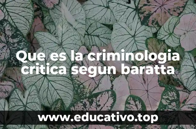 Que es la criminologia critica segun baratta