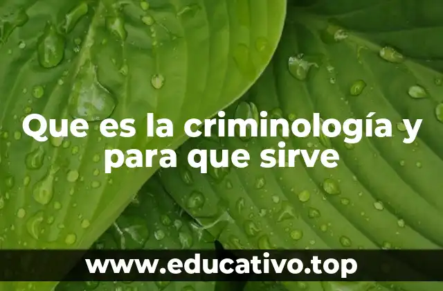 Que es la criminología y para que sirve