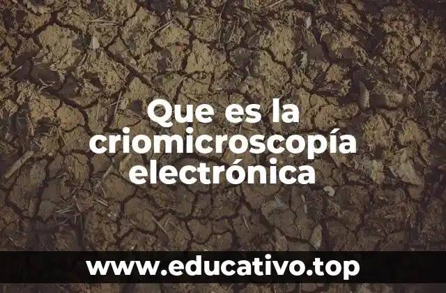 Que es la criomicroscopía electrónica