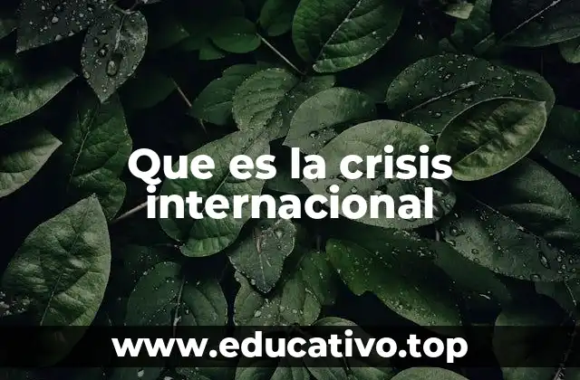 Que es la crisis internacional