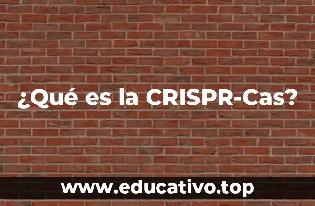 ¿Qué es la CRISPR-Cas?