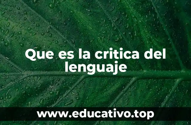 Que es la critica del lenguaje