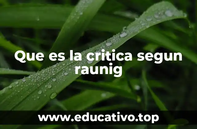 Que es la critica segun raunig