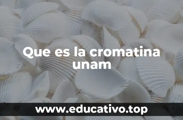 Que es la cromatina unam