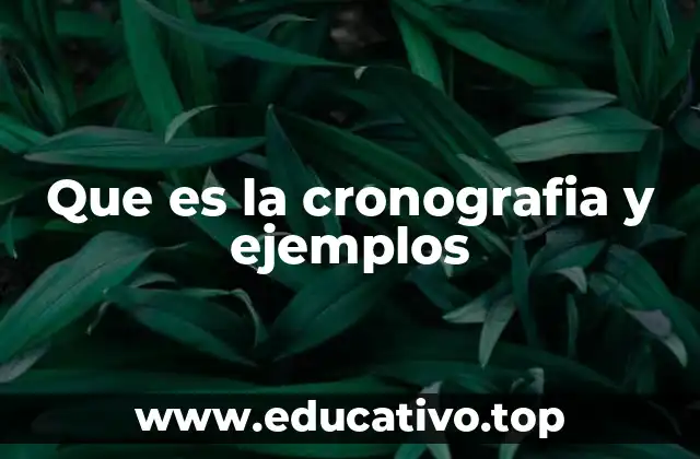 Que es la cronografia y ejemplos