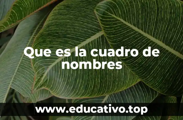 Que es la cuadro de nombres