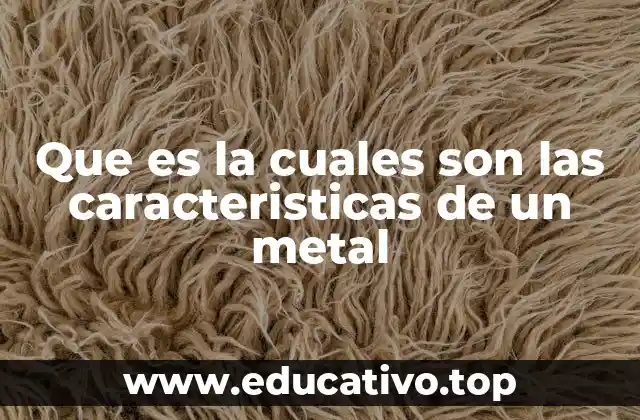 Que es la cuales son las caracteristicas de un metal