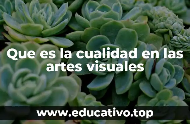 Que es la cualidad en las artes visuales