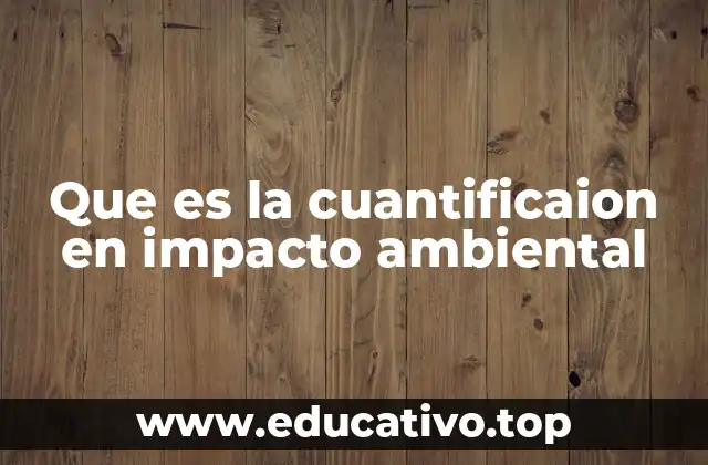 Que es la cuantificaion en impacto ambiental