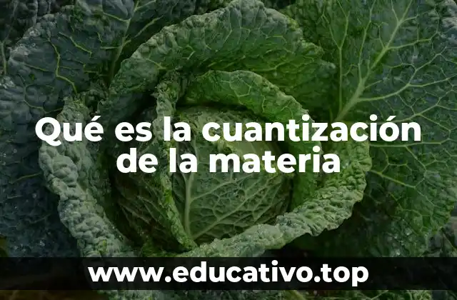 Qué es la cuantización de la materia