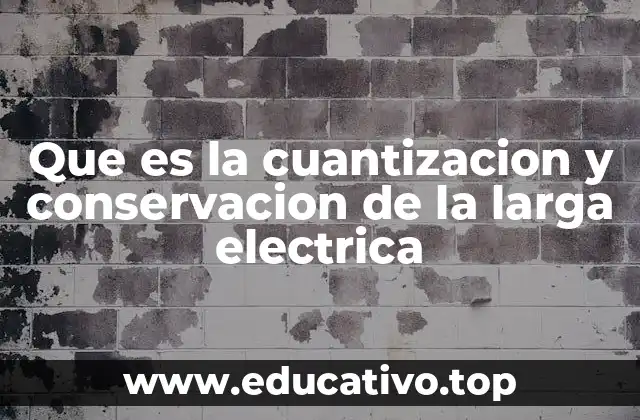 Que es la cuantizacion y conservacion de la larga electrica