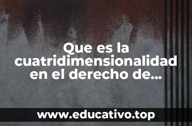 Que es la cuatridimensionalidad en el derecho de amparo