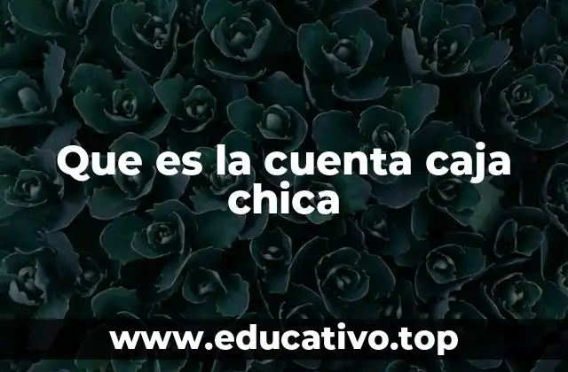 Que es la cuenta caja chica