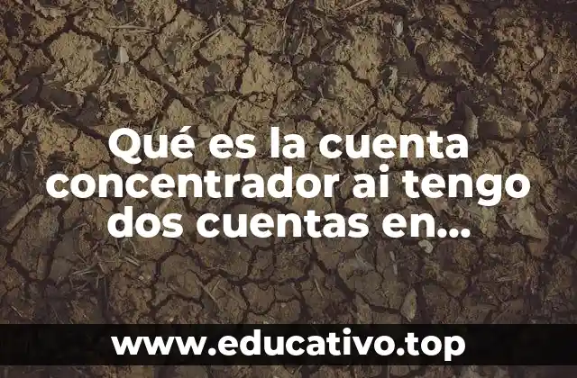 Qué es la cuenta concentrador ai tengo dos cuentas en banamex