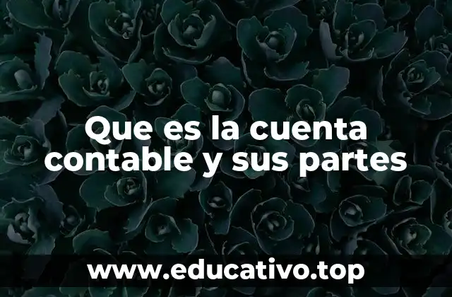 Que es la cuenta contable y sus partes