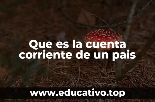 Que es la cuenta corriente de un pais