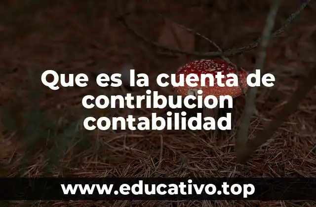 Que es la cuenta de contribucion contabilidad