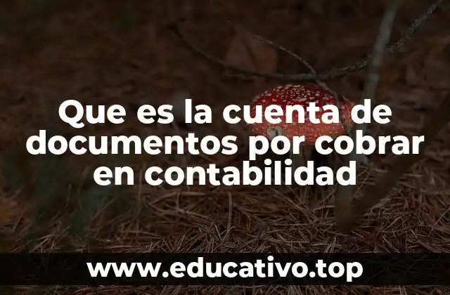 Que es la cuenta de documentos por cobrar en contabilidad
