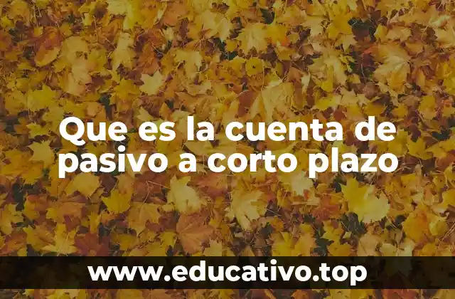 Que es la cuenta de pasivo a corto plazo