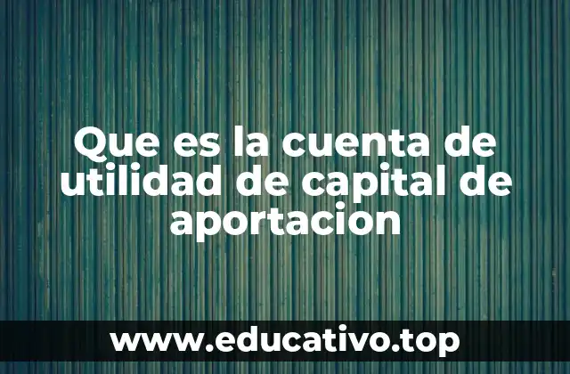 Que es la cuenta de utilidad de capital de aportacion