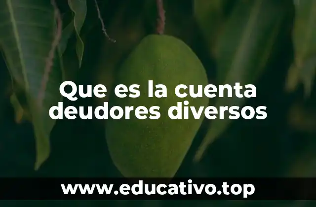 Que es la cuenta deudores diversos