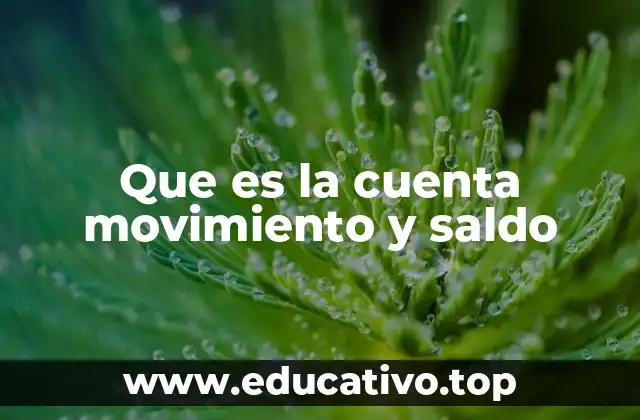 Que es la cuenta movimiento y saldo