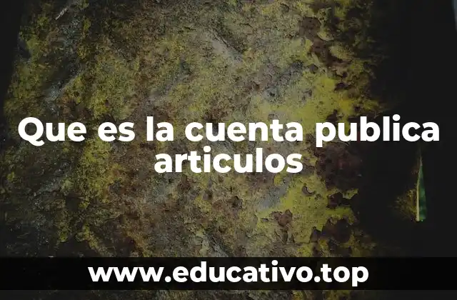 Que es la cuenta publica articulos