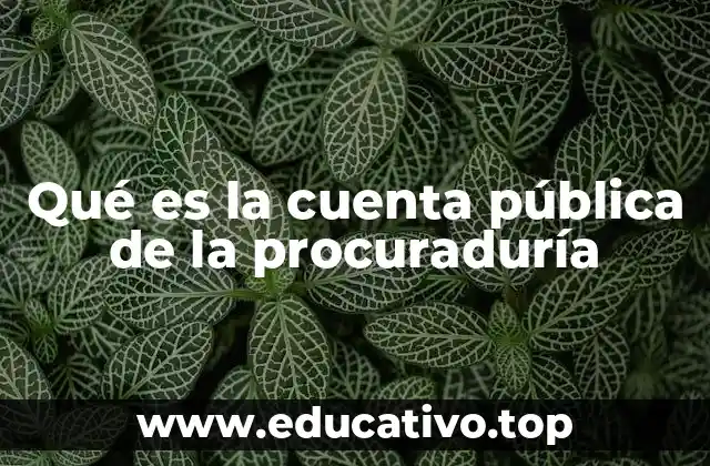 Qué es la cuenta pública de la procuraduría