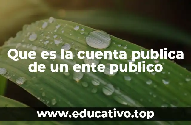 Que es la cuenta publica de un ente publico