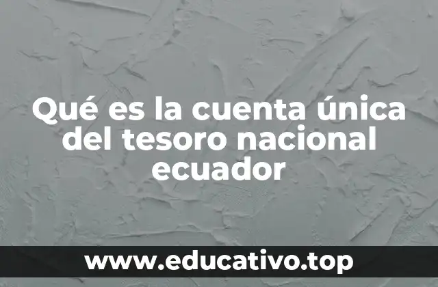 Qué es la cuenta única del tesoro nacional ecuador