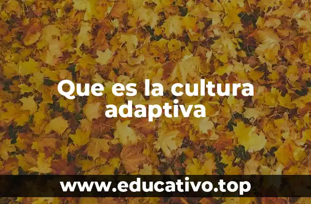 Que es la cultura adaptiva