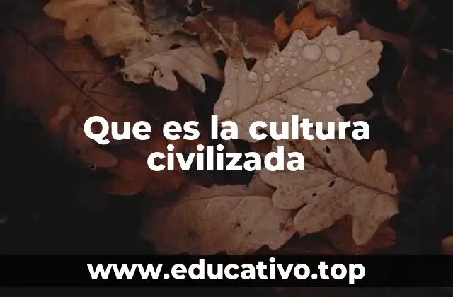Que es la cultura civilizada