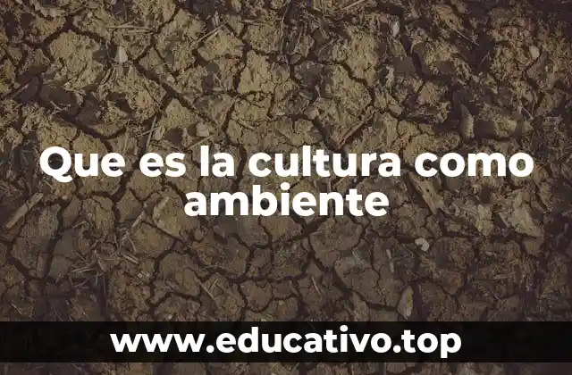 Que es la cultura como ambiente