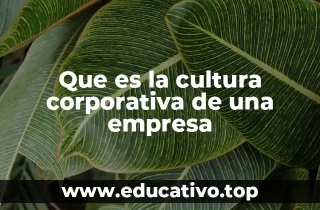 Que es la cultura corporativa de una empresa