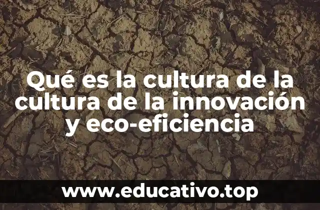 Qué es la cultura de la cultura de la innovación y eco-eficiencia