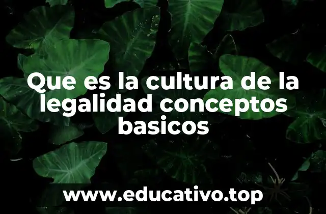 Que es la cultura de la legalidad conceptos basicos