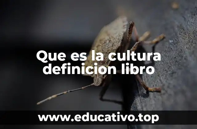 Que es la cultura definicion libro