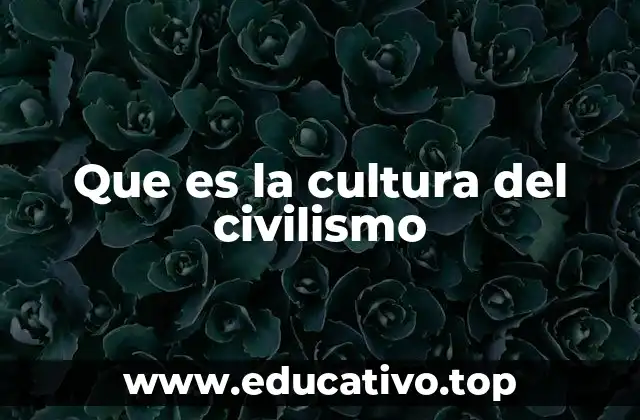 Que es la cultura del civilismo