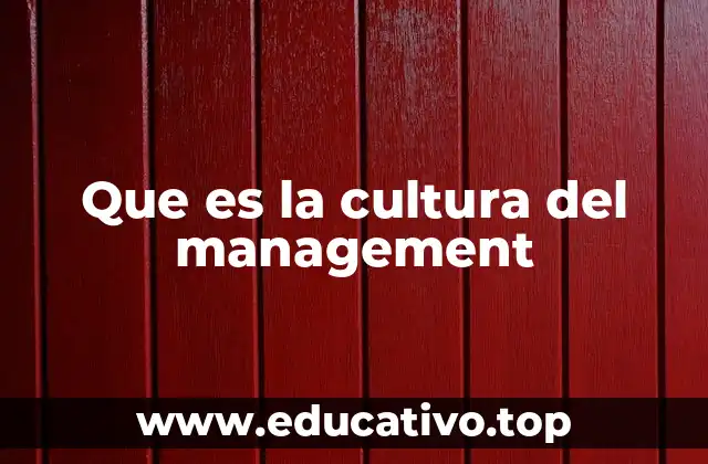 Que es la cultura del management