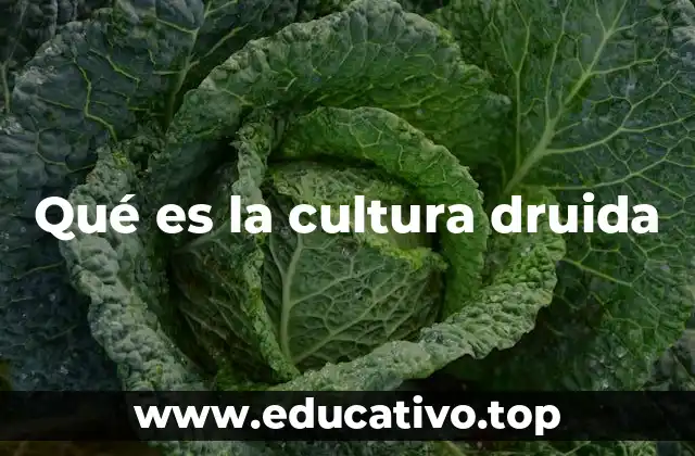 Qué es la cultura druida