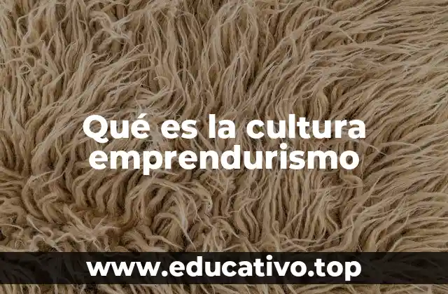 Qué es la cultura emprendurismo