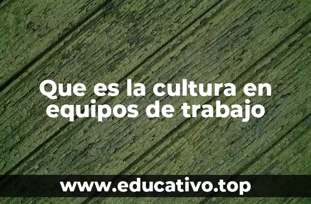 Que es la cultura en equipos de trabajo