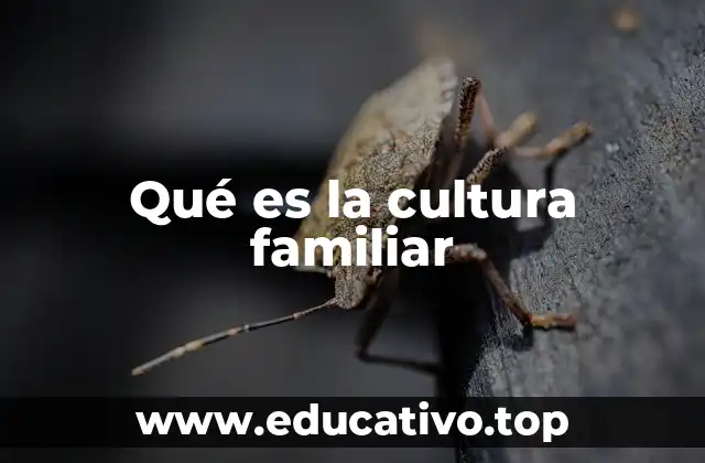Qué es la cultura familiar