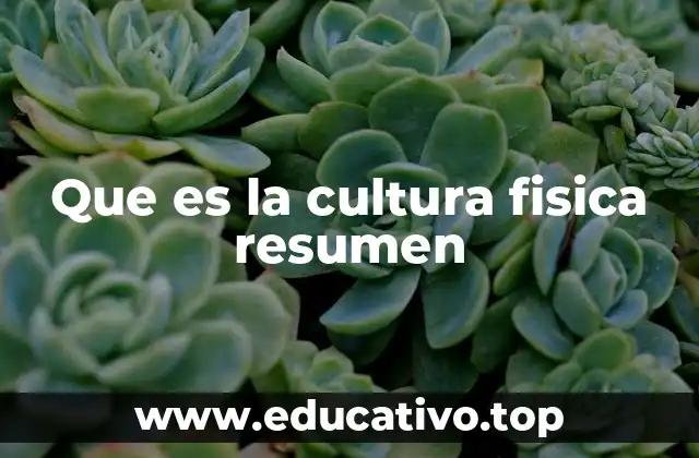 Que es la cultura fisica resumen