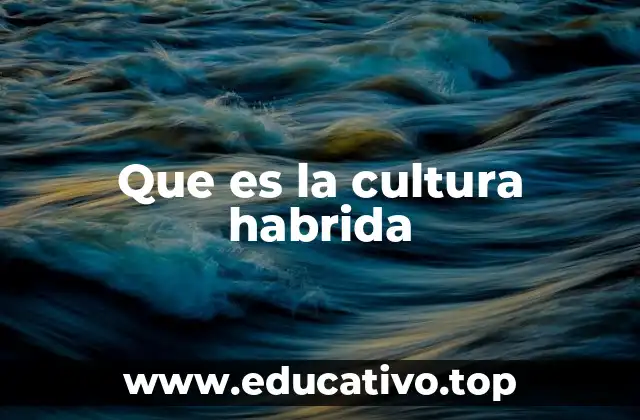 Que es la cultura habrida