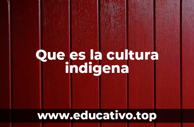 Que es la cultura indigena